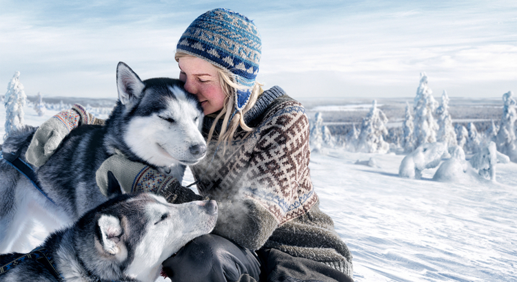 Wolters Frau mit Huskys Foto Visit Finland